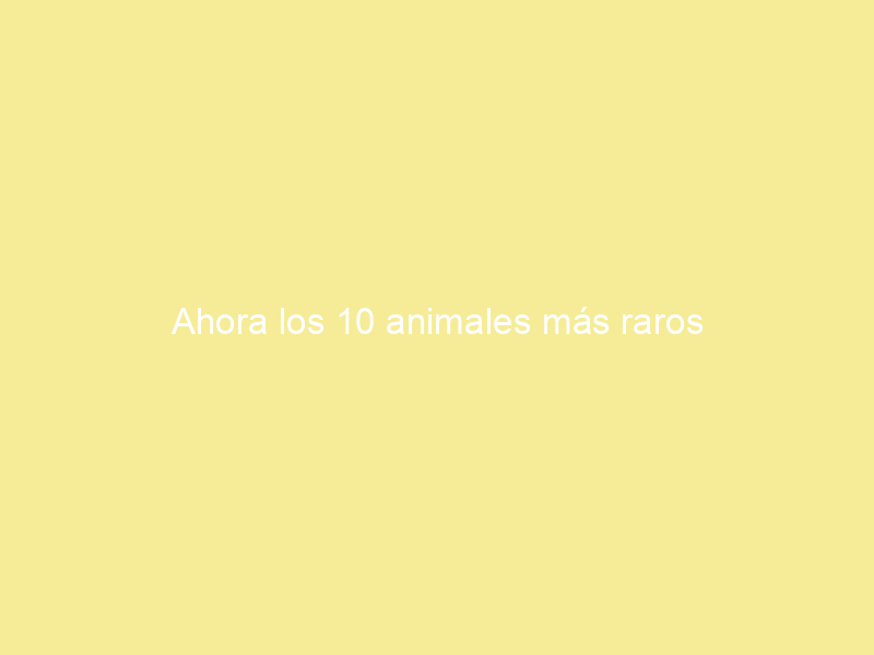 Ahora los 10 animales más raros