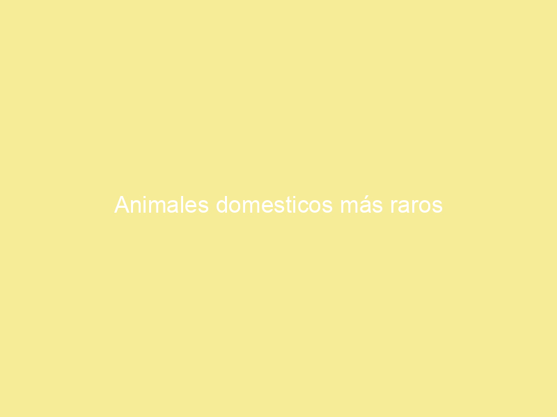 Animales domesticos más raros