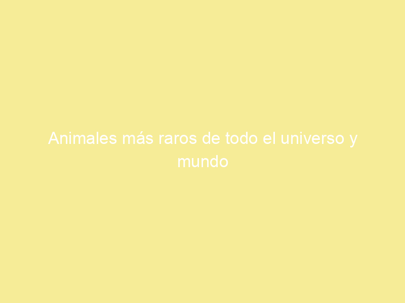 Animales más raros de todo el universo y mundo