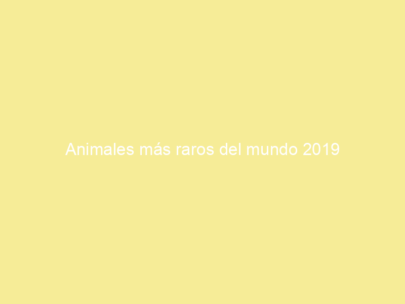 Animales más raros del mundo 2023