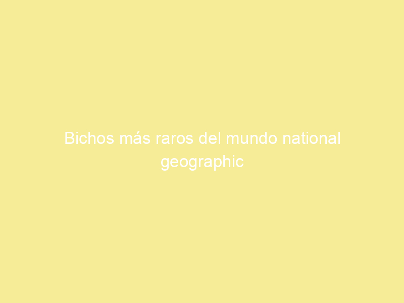 Bichos más raros del mundo national geographic