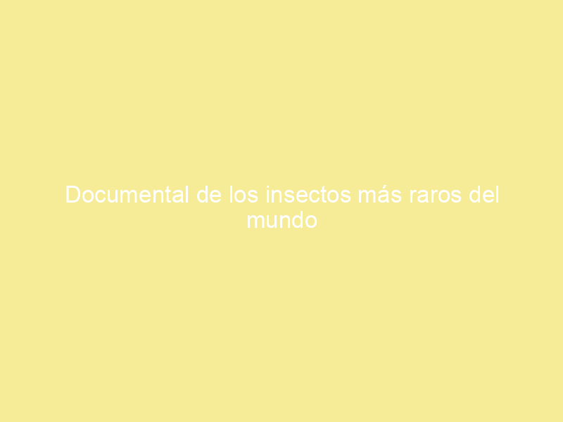 Documental de los insectos más raros del mundo