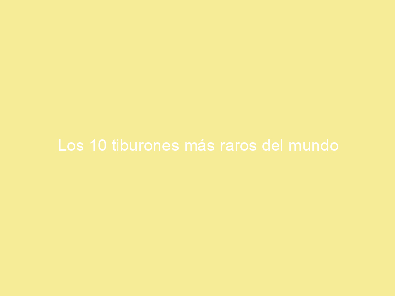 Los 10 tiburones más raros del mundo