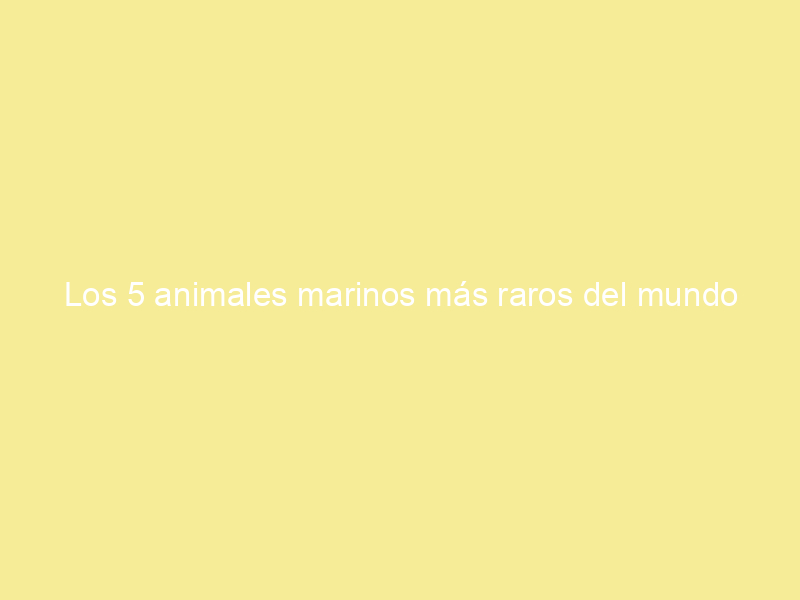 Los 5 animales marinos más raros del mundo