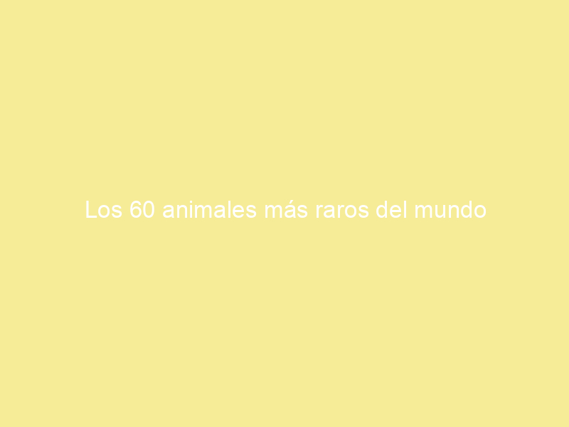 Los 60 animales más raros del mundo