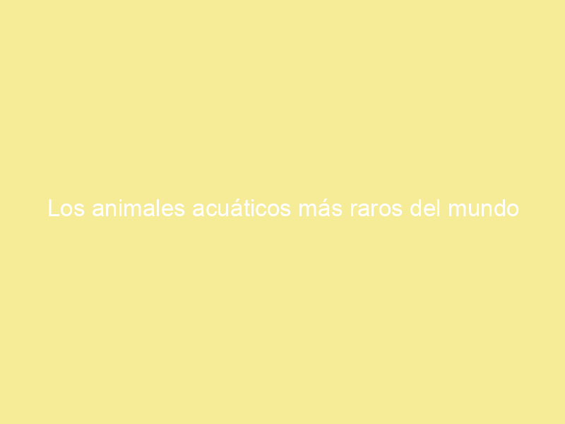 Los animales acuáticos más raros del mundo