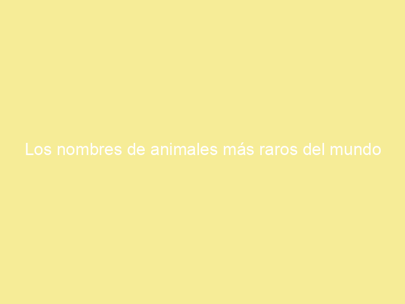 Los nombres de animales más raros del mundo