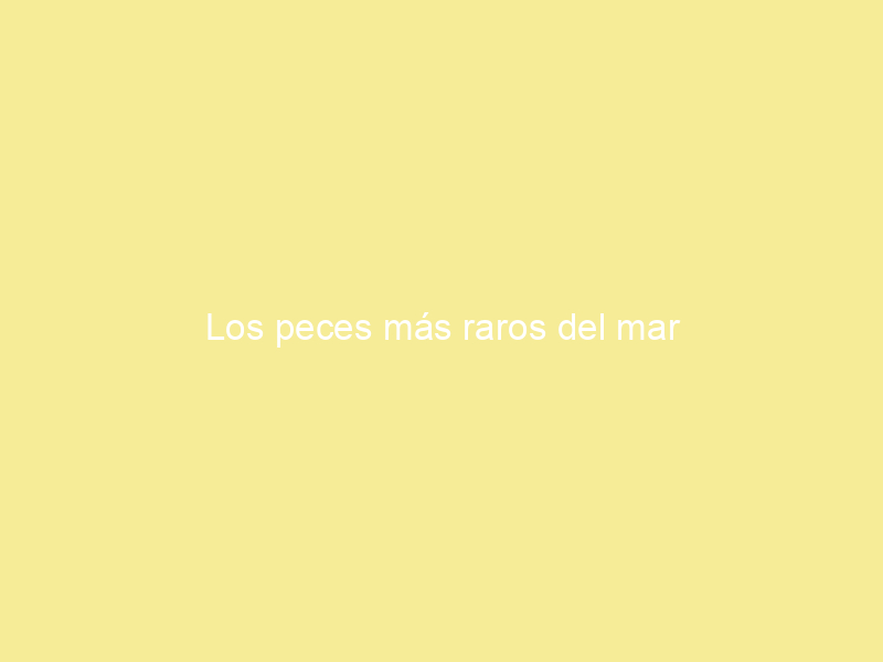 Los peces más raros del mar