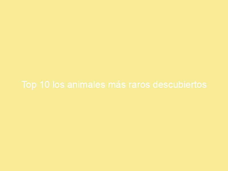 Top 10 los animales más raros descubiertos recientemente