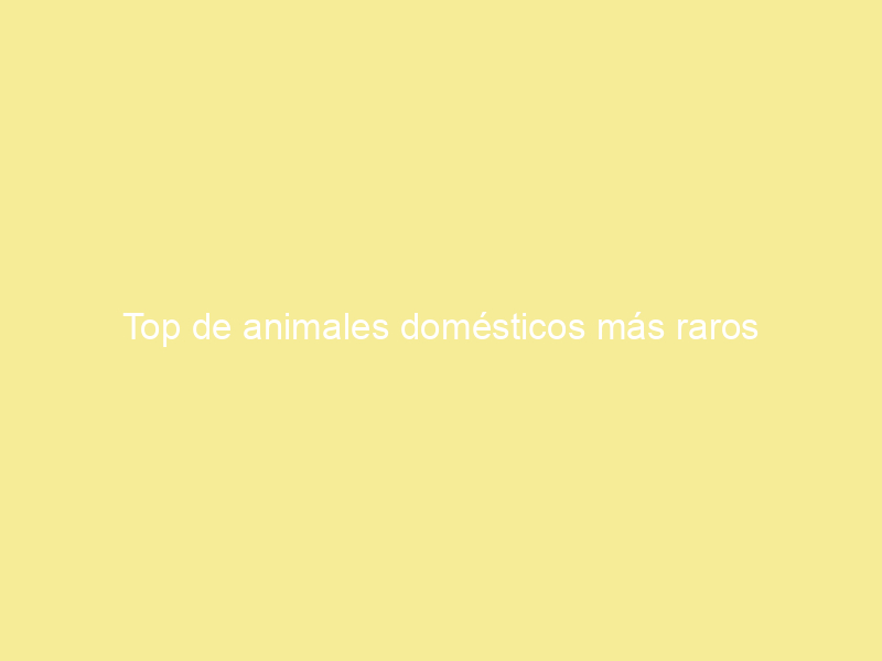 Top de animales domésticos más raros