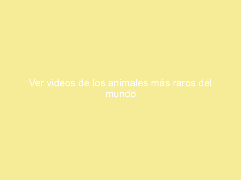 Ver videos de los animales más raros del mundo