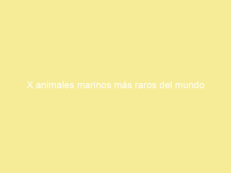 X animales marinos más raros del mundo